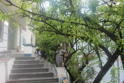 Mây Núi Homestay – Photos 15